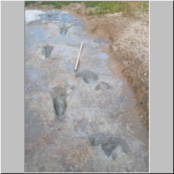 102_7522 (2013-08-19)m.JPG